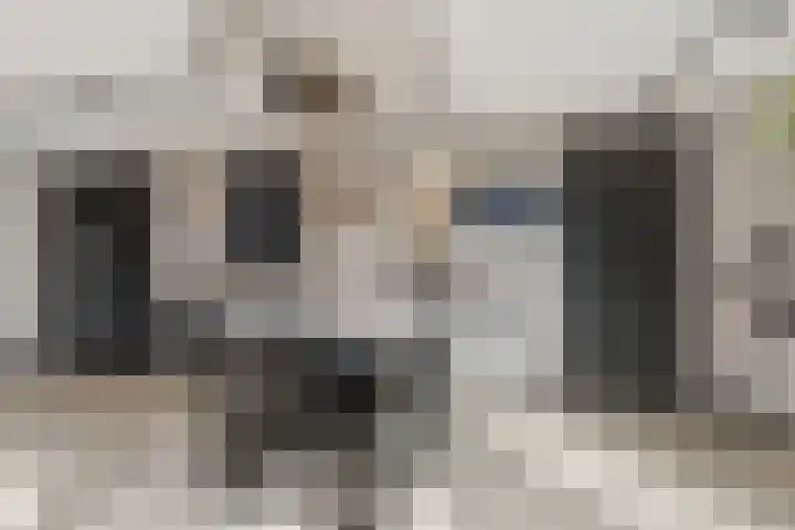 Morseltdijk 45 Borne thumbnail 6