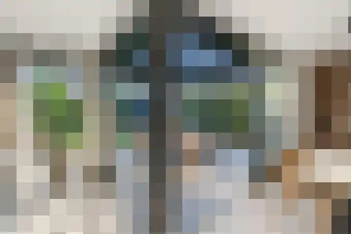 Morseltdijk 45 Borne thumbnail 8