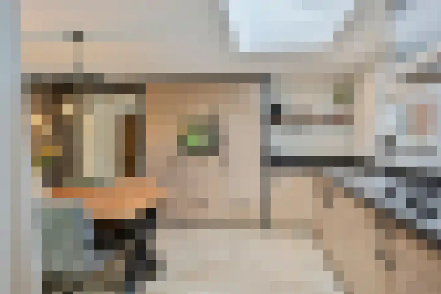 Morseltdijk 53 Borne thumbnail 14