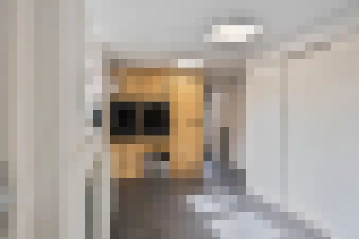 Morseltdijk 53 Borne thumbnail 21