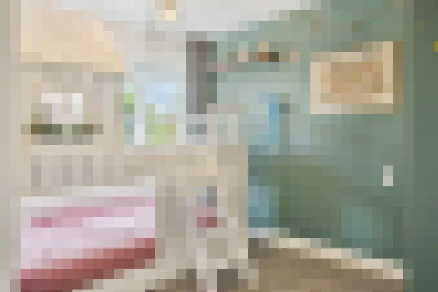 Morseltdijk 53 Borne thumbnail 27