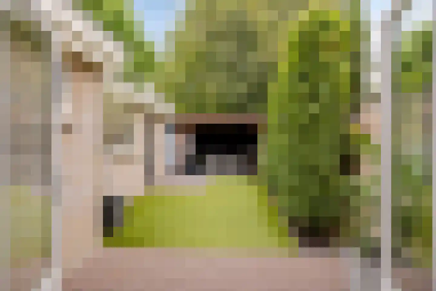 Morseltdijk 53 Borne thumbnail 28