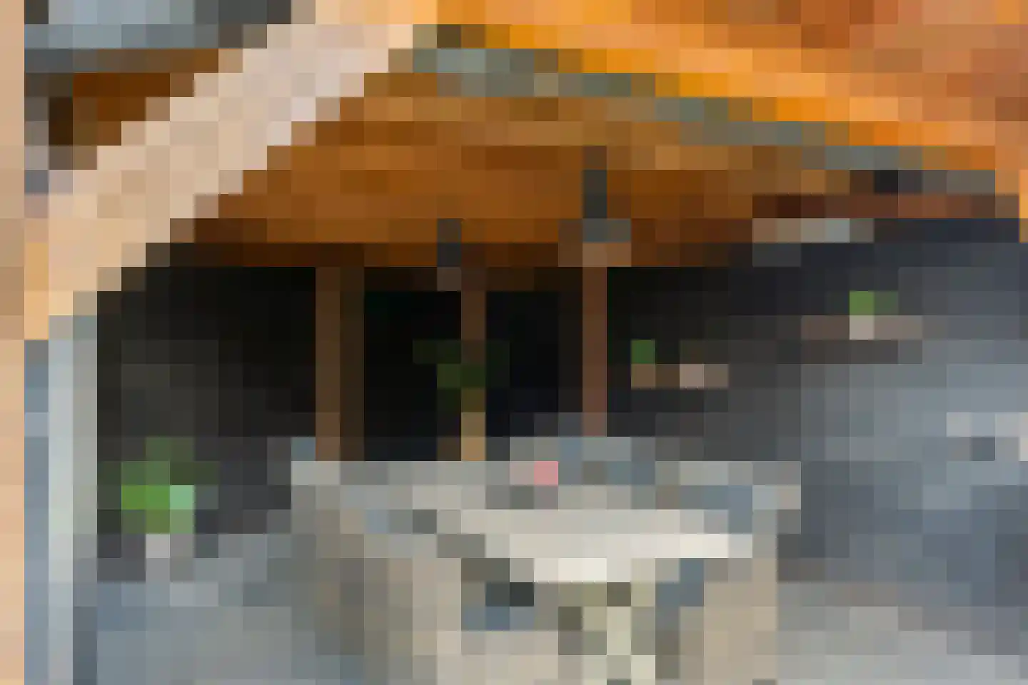 Morseltdijk 53 Borne thumbnail 31