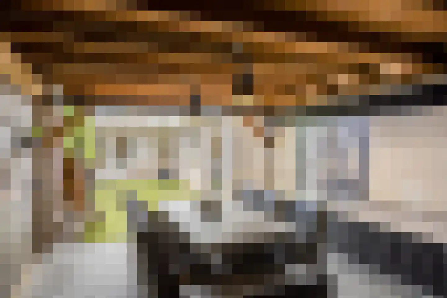 Morseltdijk 53 Borne thumbnail 32