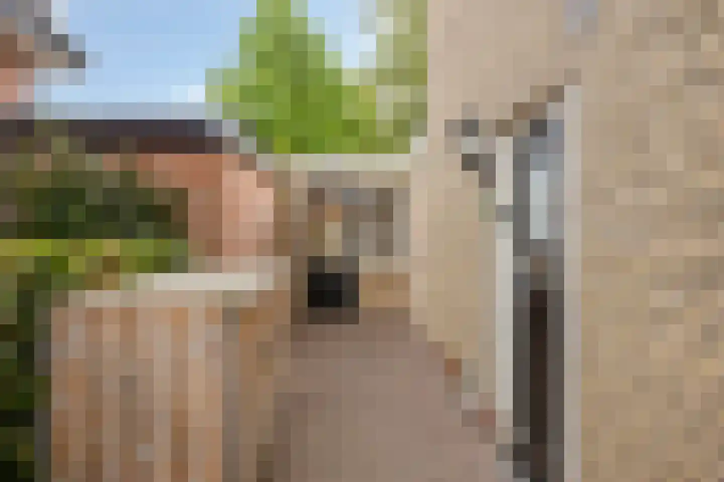 Morseltdijk 53 Borne thumbnail 7