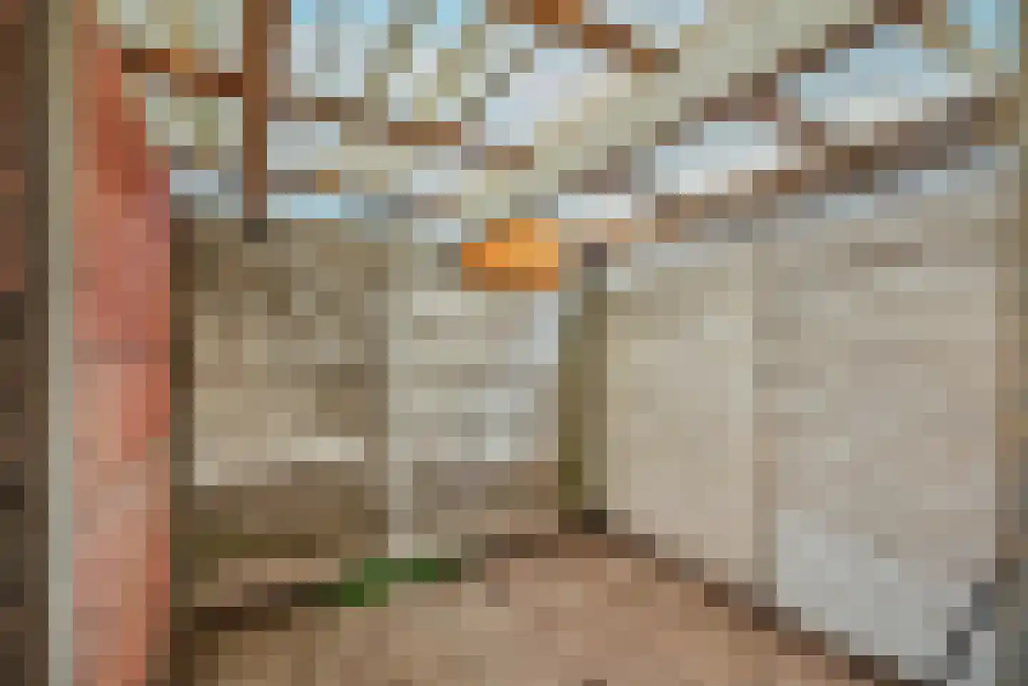 Morsestraat 1 Eindhoven thumbnail 19