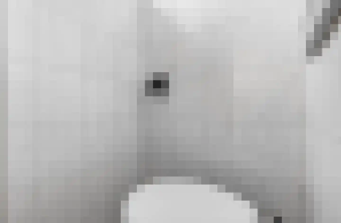 Morsestraat 1 Eindhoven thumbnail 22
