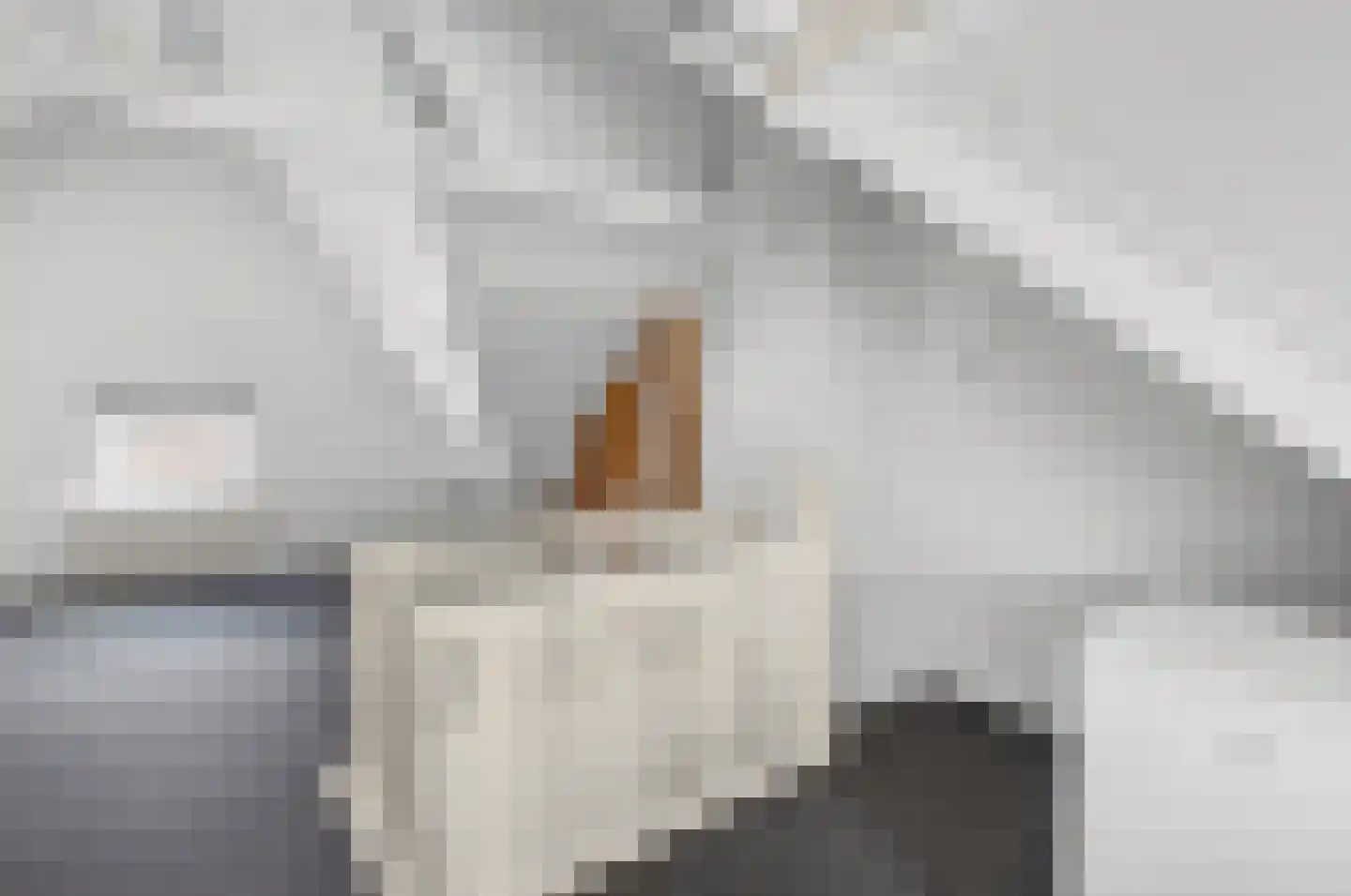Morsestraat 1 Eindhoven thumbnail 33