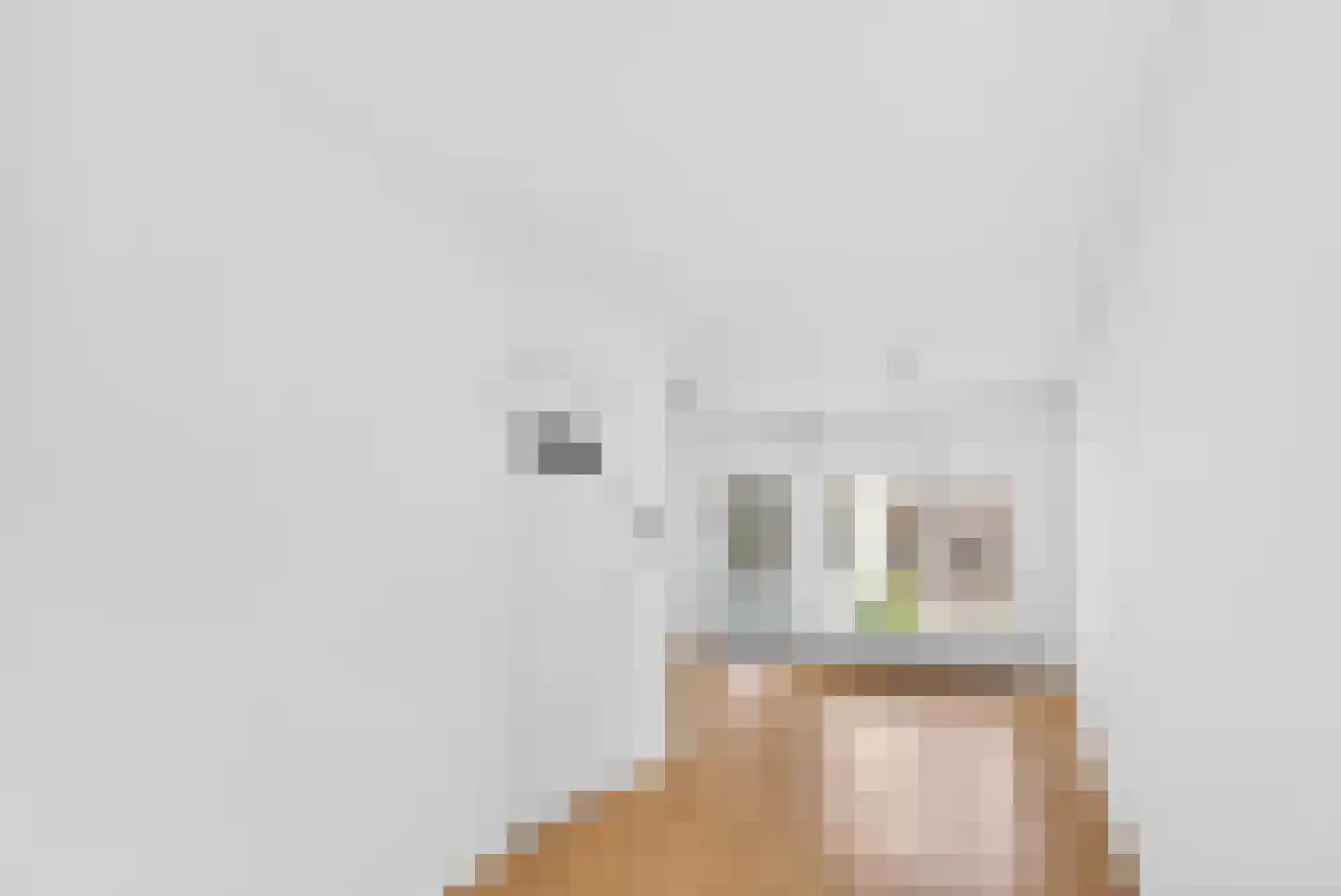 Morsestraat 1 Eindhoven thumbnail 9