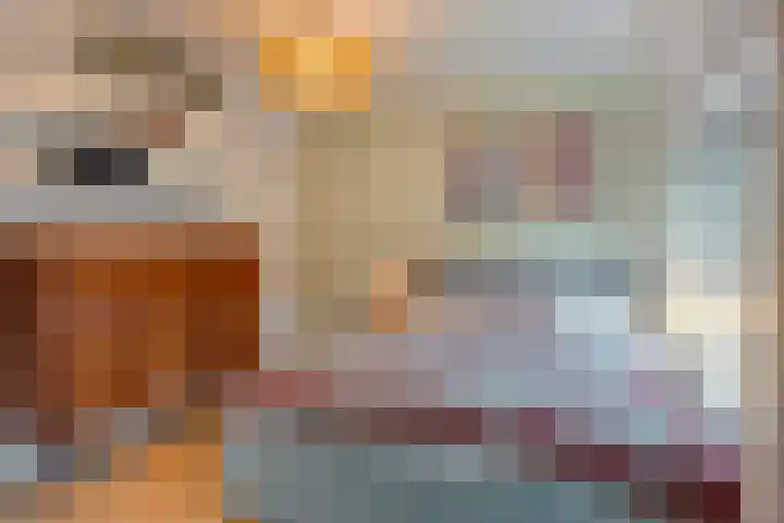 Morsestraat 9 Eindhoven thumbnail 15