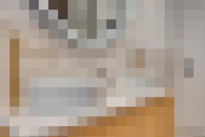 Morsestraat 9 Eindhoven thumbnail 18
