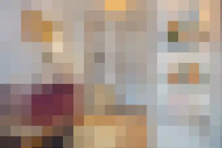 Morsestraat 9 Eindhoven thumbnail 21