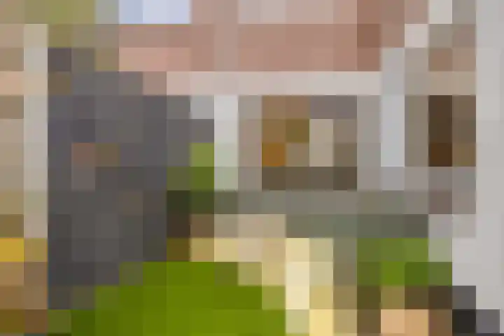 Morsestraat 9 Eindhoven thumbnail 25