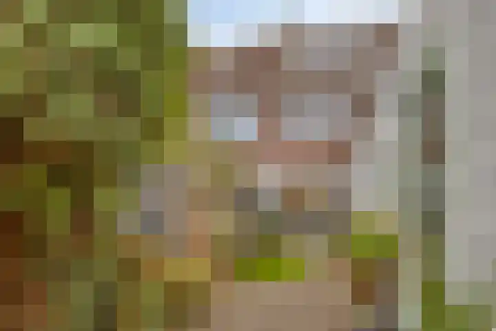 Morsestraat 9 Eindhoven thumbnail 26