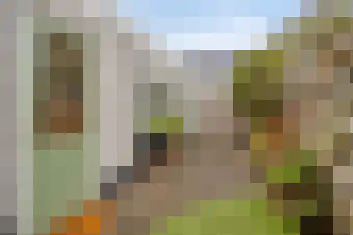 Morsestraat 9 Eindhoven thumbnail 27