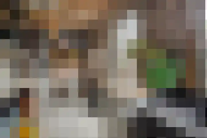 Morsestraat 9 Eindhoven thumbnail 28