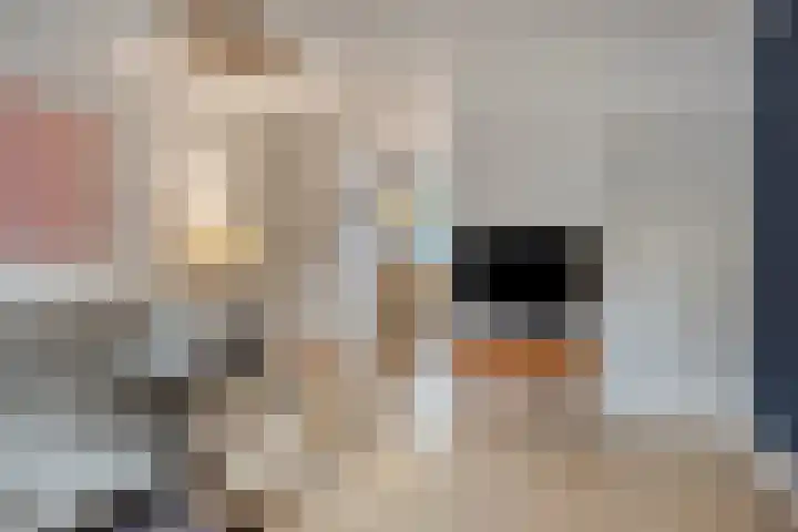 Morsestraat 9 Eindhoven thumbnail 6