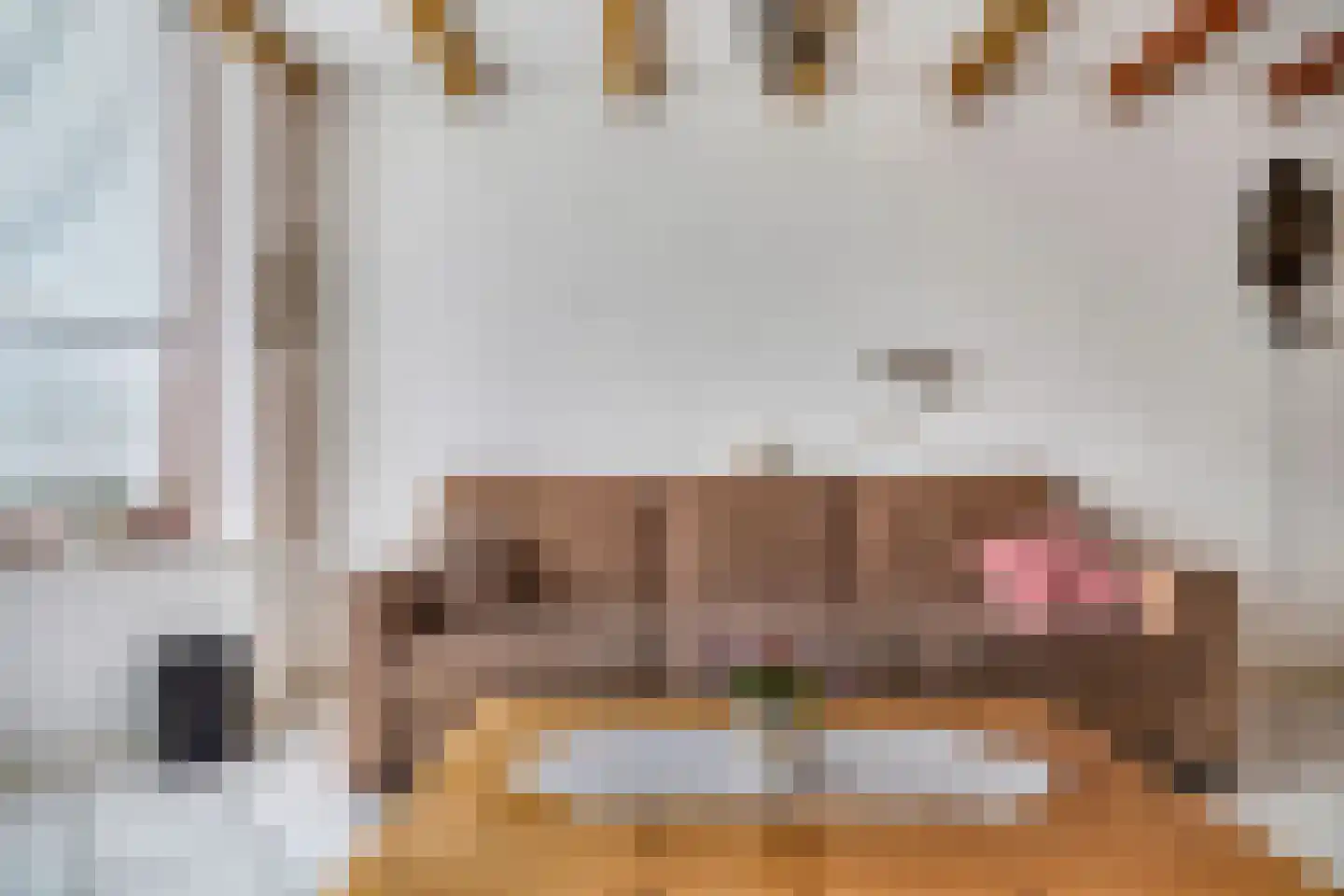 Morskade 11 Leiden thumbnail 6