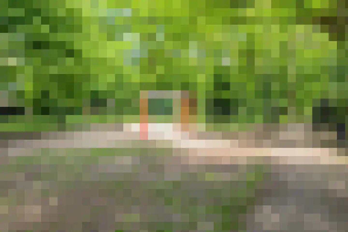 Morslaan 158 Oldenzaal thumbnail 27