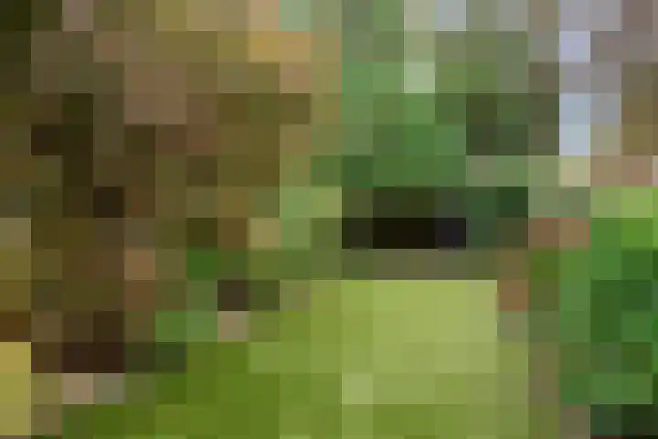 Morslaan 40 Oldenzaal thumbnail 32