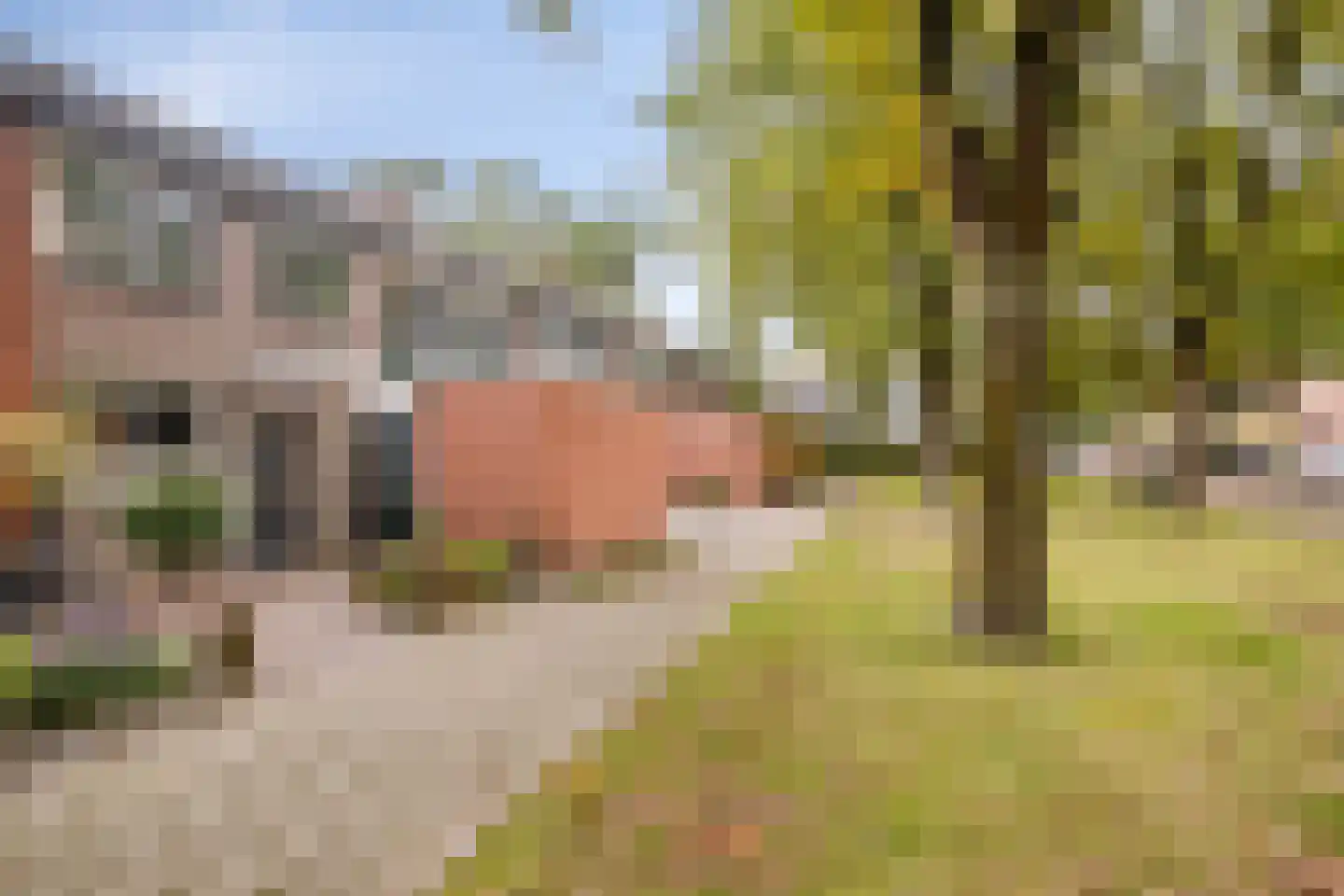 Morslaan 49 Oldenzaal thumbnail 27