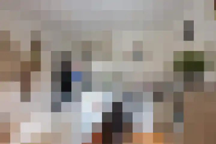 Morsmanshof 31 Borculo thumbnail 13