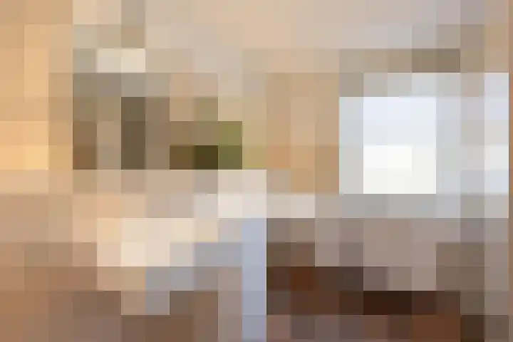 Morsmanshof 31 Borculo thumbnail 23