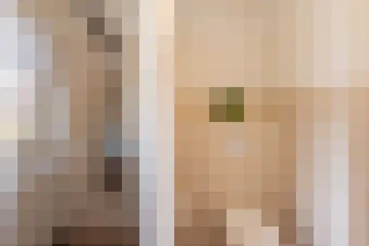 Morsmanshof 31 Borculo thumbnail 24