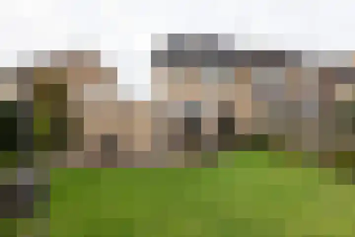 Morsmanshof 31 Borculo thumbnail 29