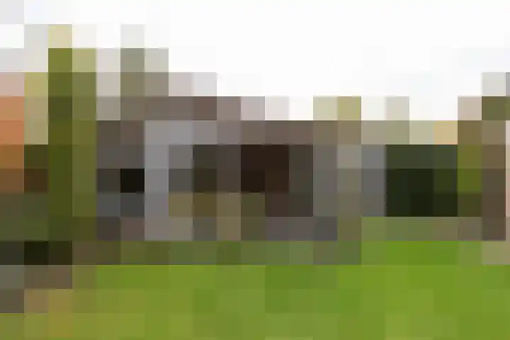 Morsmanshof 31 Borculo thumbnail 30