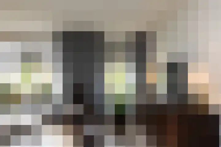 Morsmanshof 31 Borculo thumbnail 5
