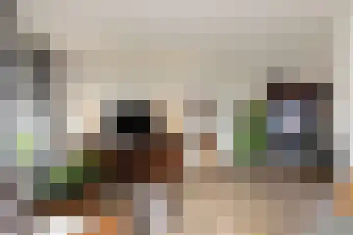 Morsmanshof 31 Borculo thumbnail 6