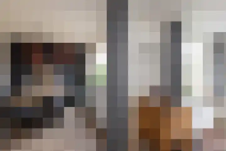 Morsmanshof 31 Borculo thumbnail 8
