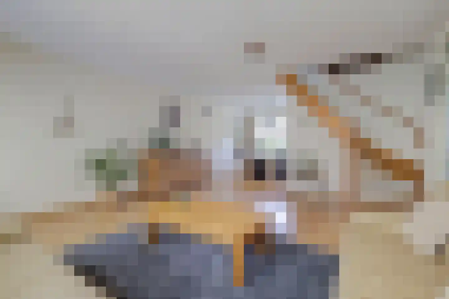 Morsmanshof 68 Borculo thumbnail 10