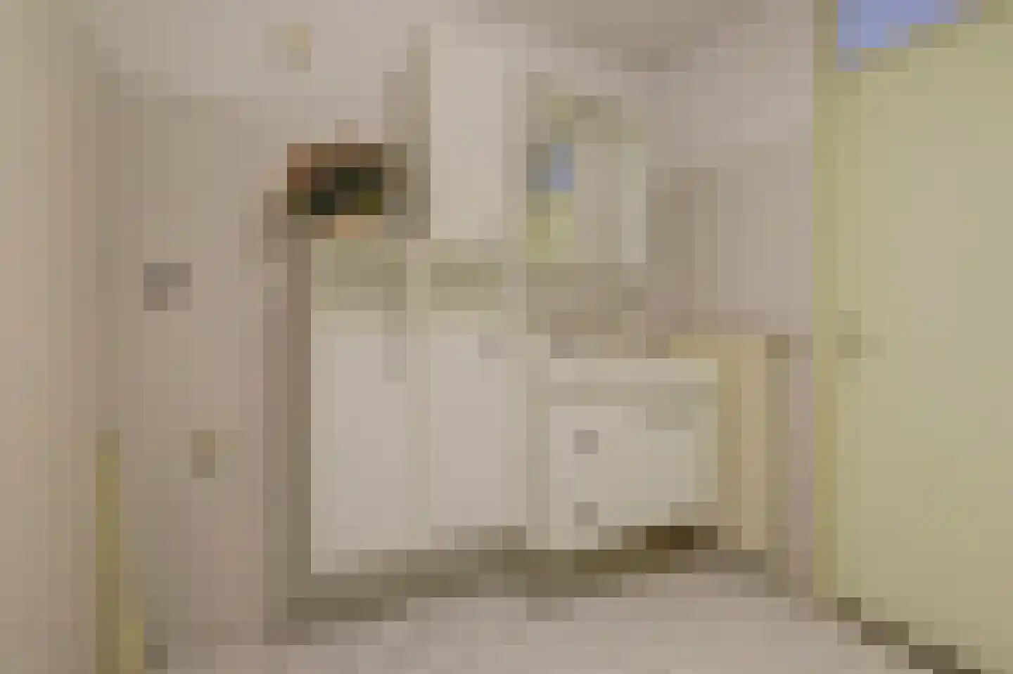 Morsmanshof 68 Borculo thumbnail 17