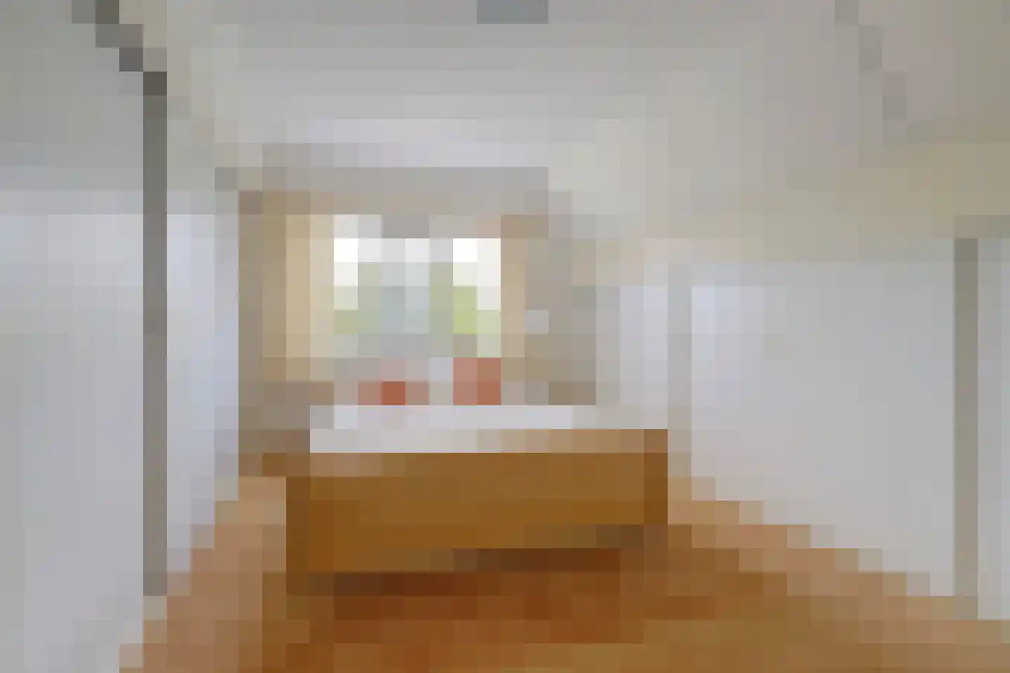 Morsmanshof 68 Borculo thumbnail 19