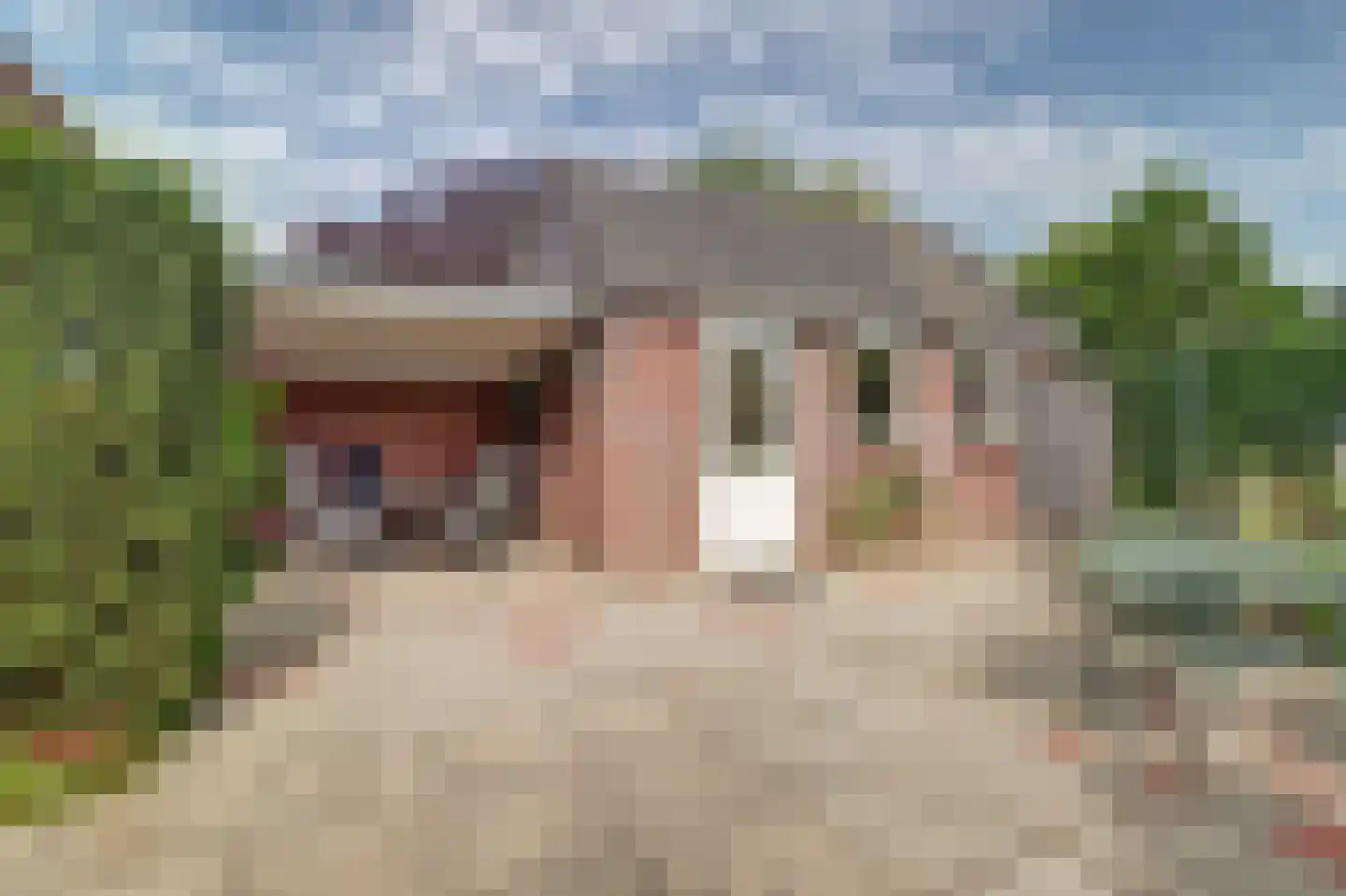 Morsmanshof 68 Borculo thumbnail 22