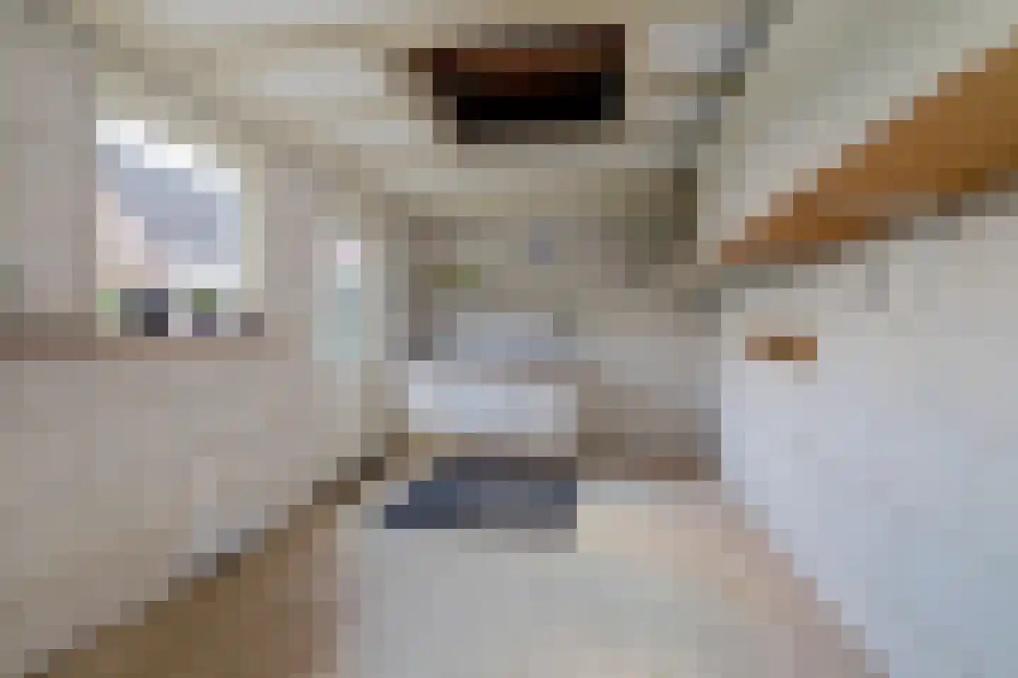 Morsmanshof 68 Borculo thumbnail 23