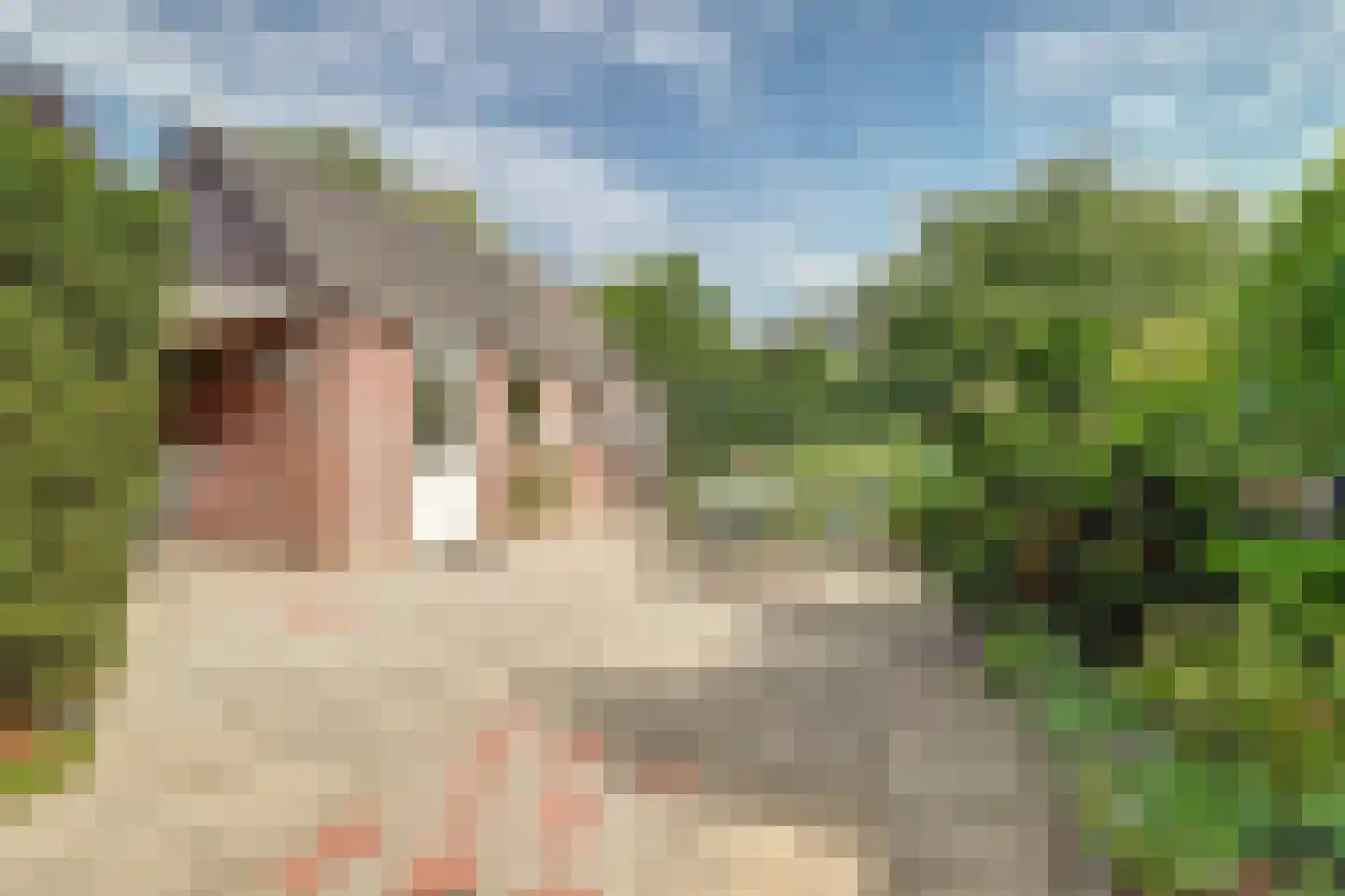 Morsmanshof 68 Borculo thumbnail 4