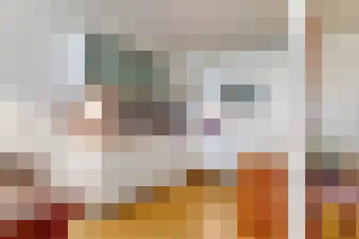 Morssingel 121 Leiden thumbnail 15