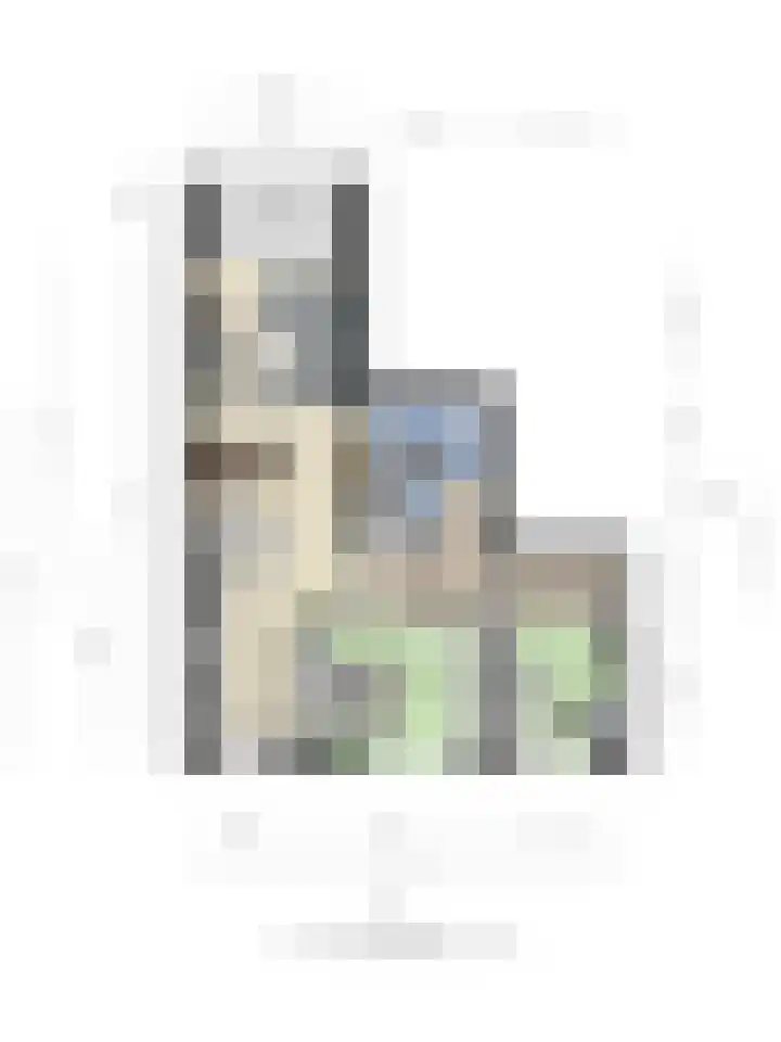 Morssingel 177 Leiden thumbnail 31