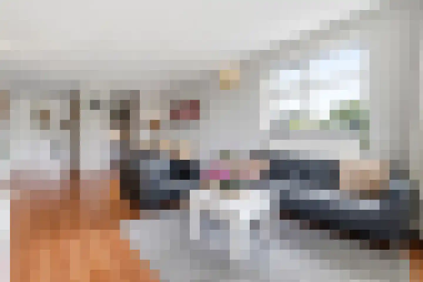 Morssingel 237 Leiden thumbnail 10