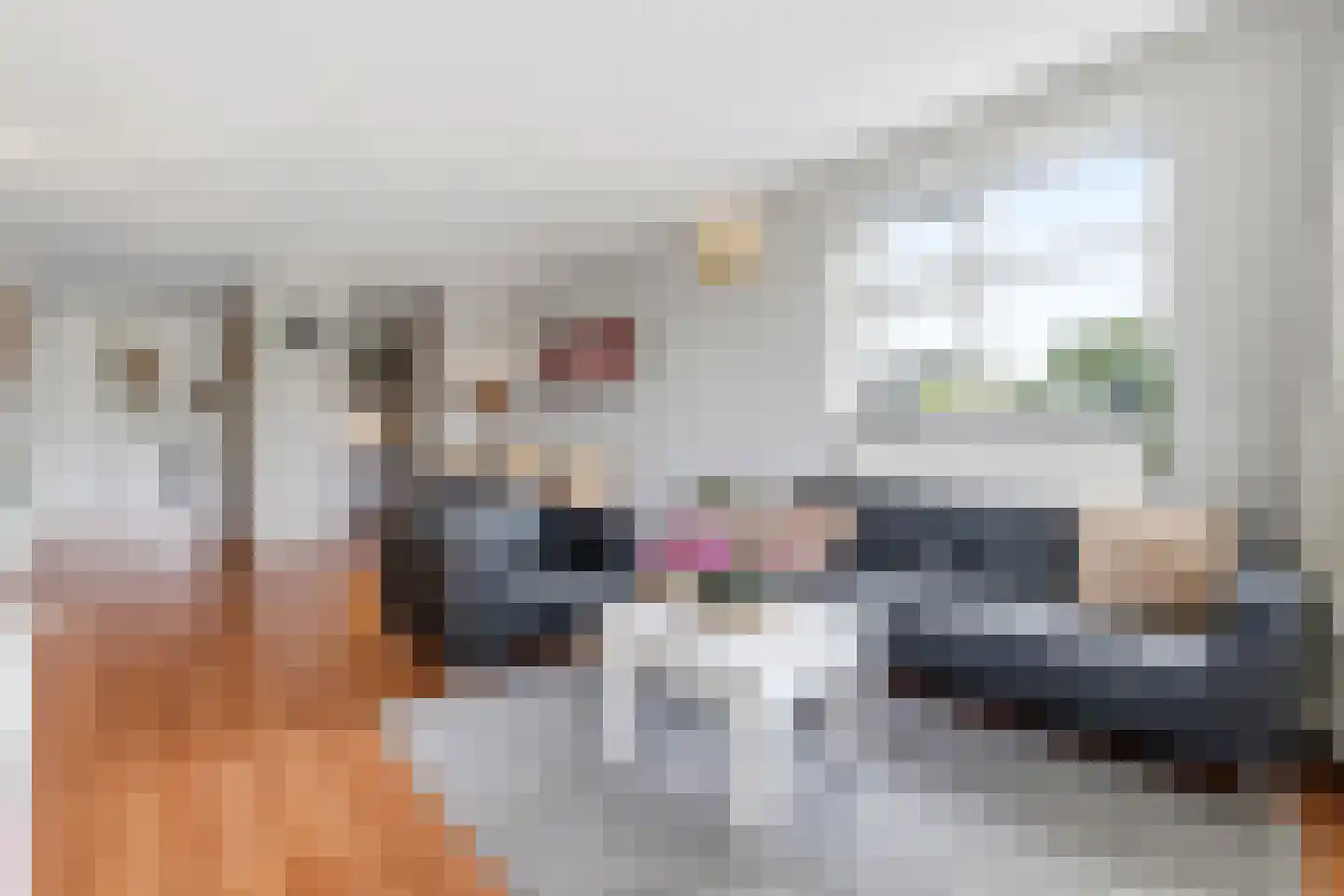 Morssingel 237 Leiden thumbnail 10