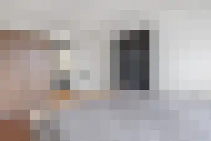 Morssingel 237 Leiden thumbnail 17