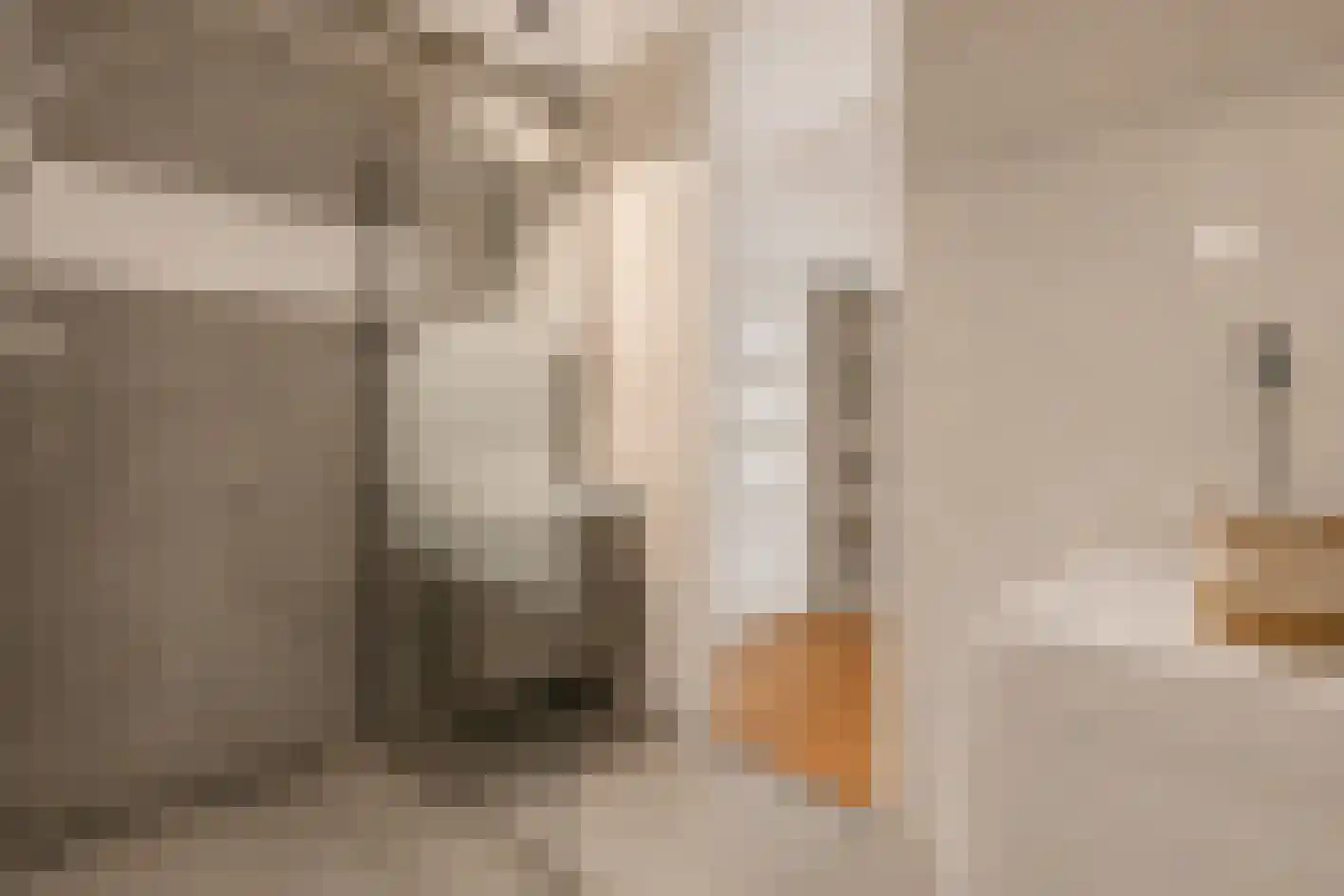 Morssingel 237 Leiden thumbnail 19