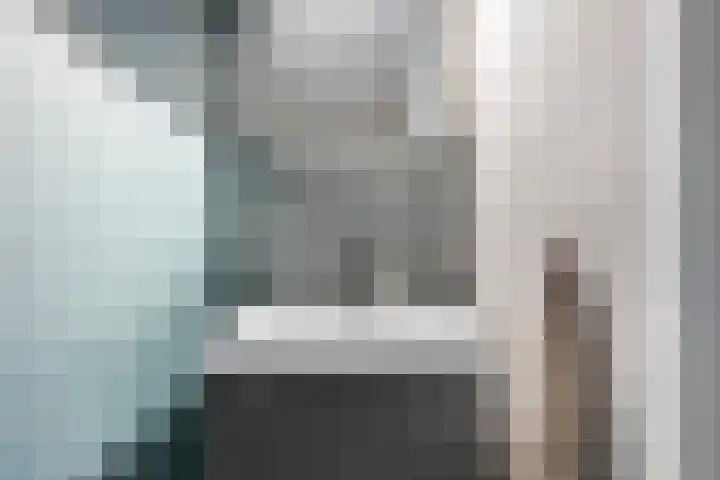 Morssingel 237 Leiden thumbnail 20