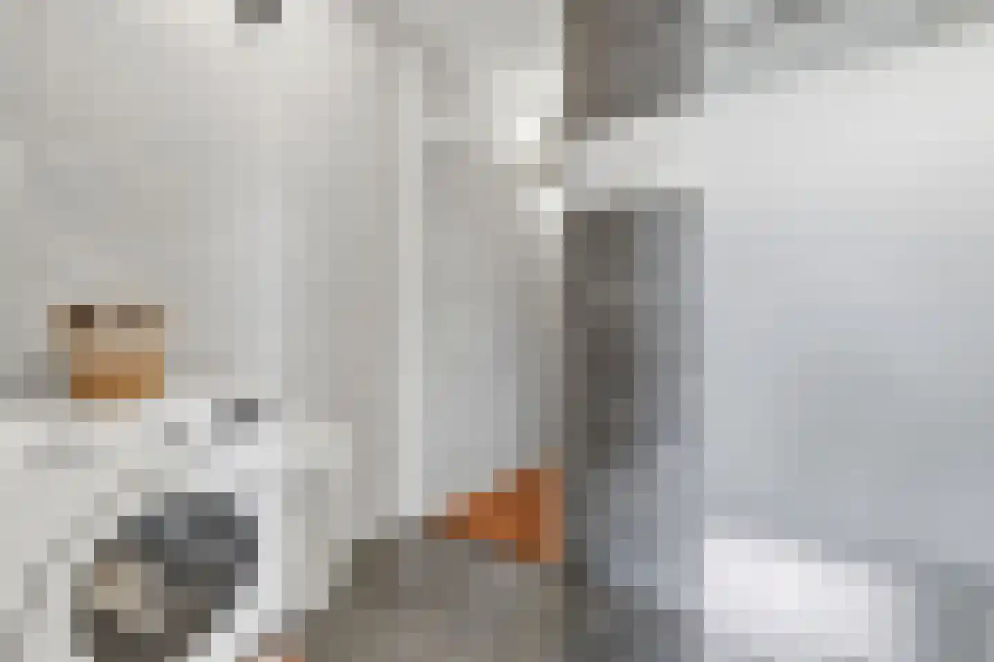 Morssingel 237 Leiden thumbnail 21