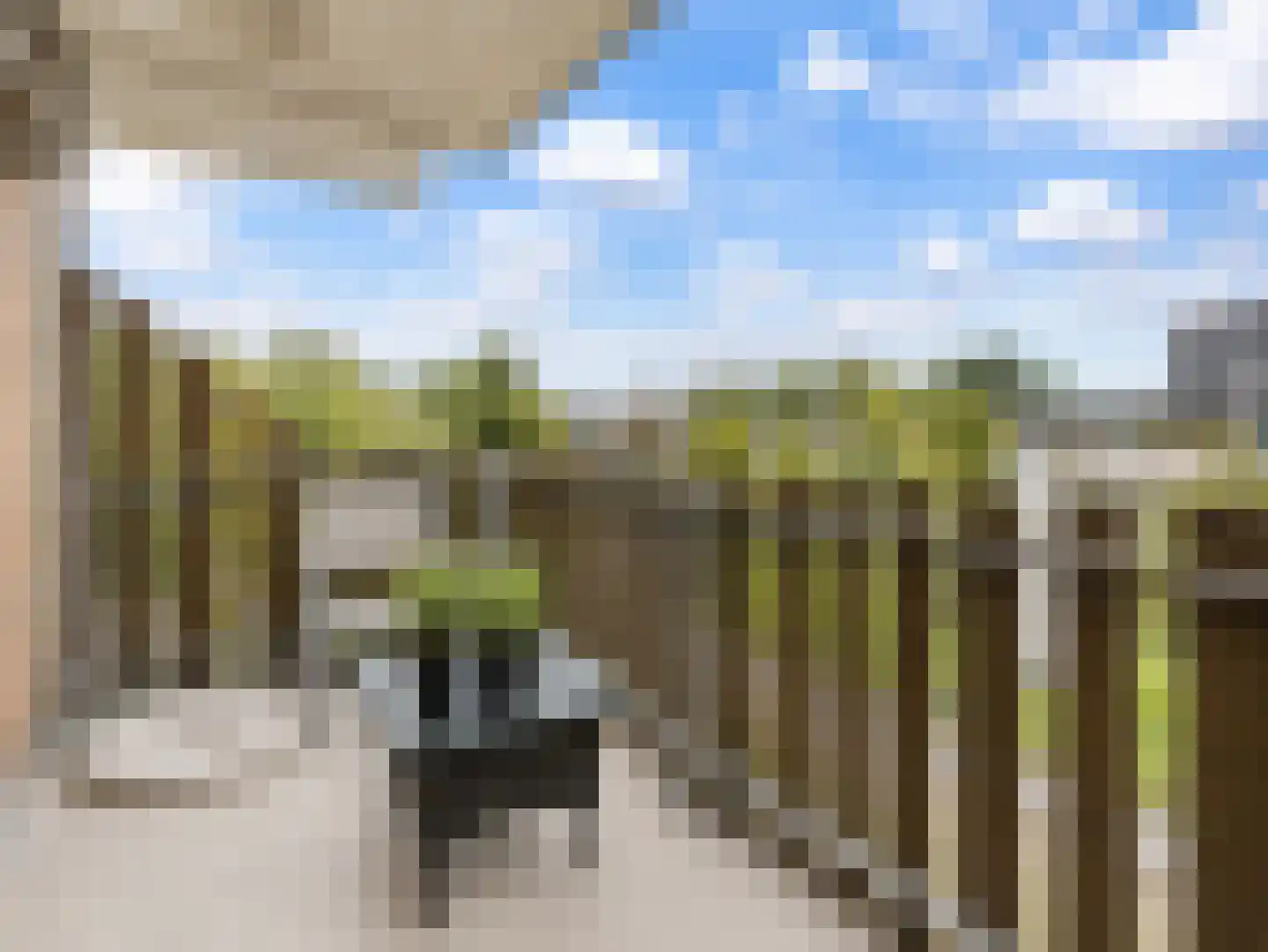 Morssingel 237 Leiden thumbnail 22