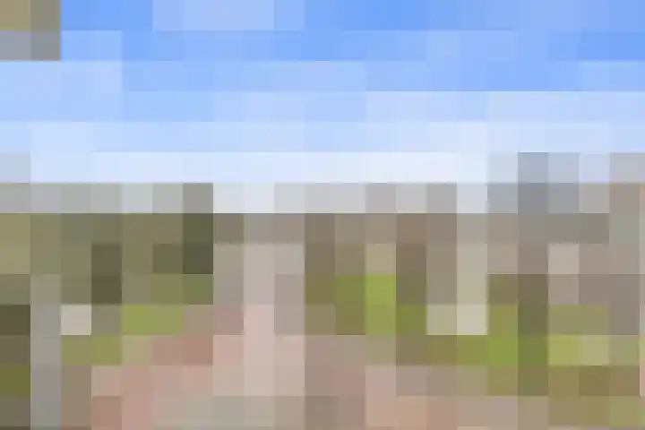 Morssingel 237 Leiden thumbnail 23