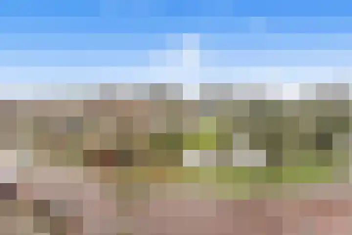 Morssingel 237 Leiden thumbnail 24